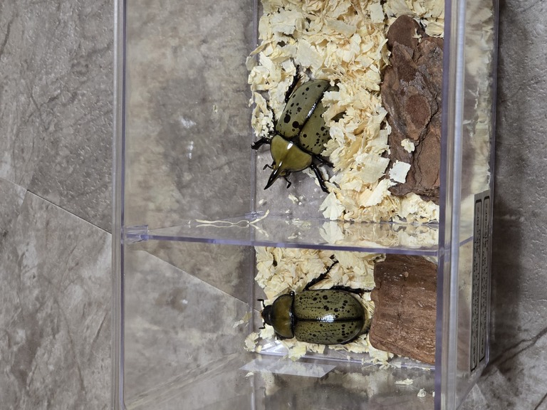 お問い合わせの画像