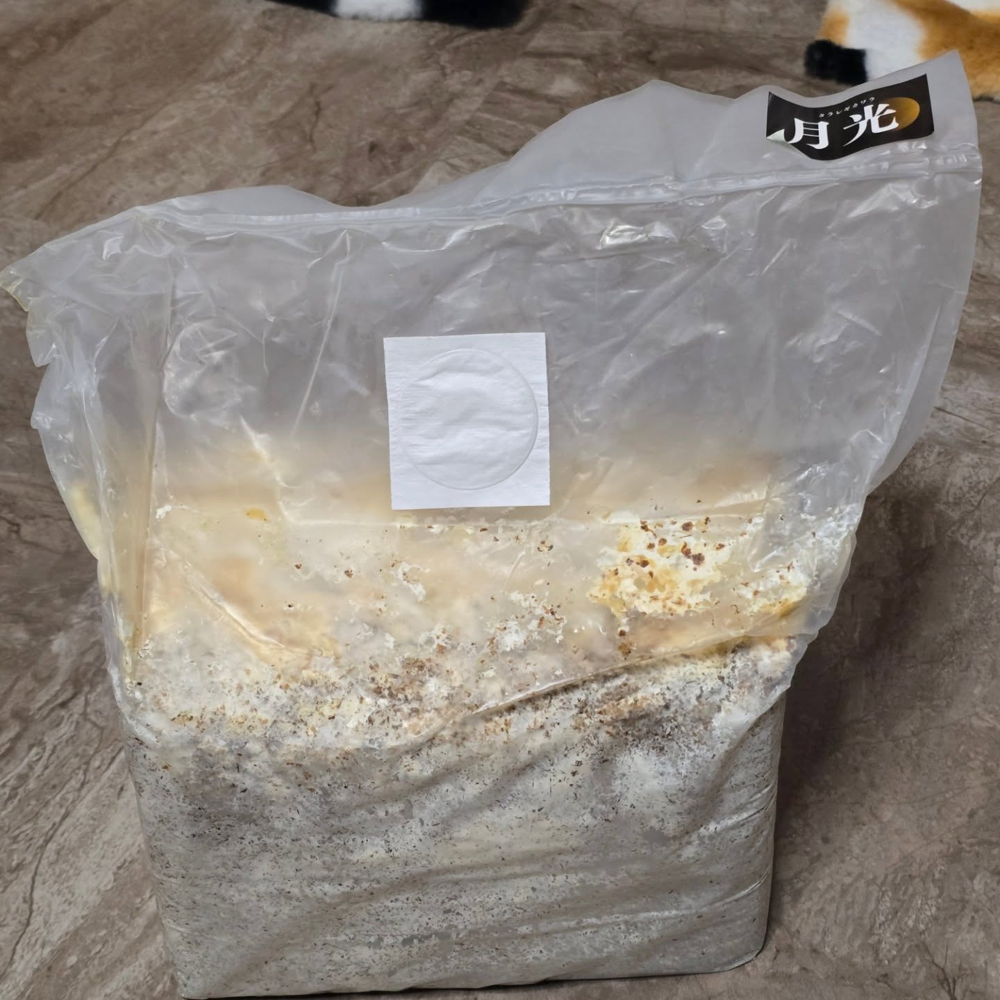 飼育用品の画像